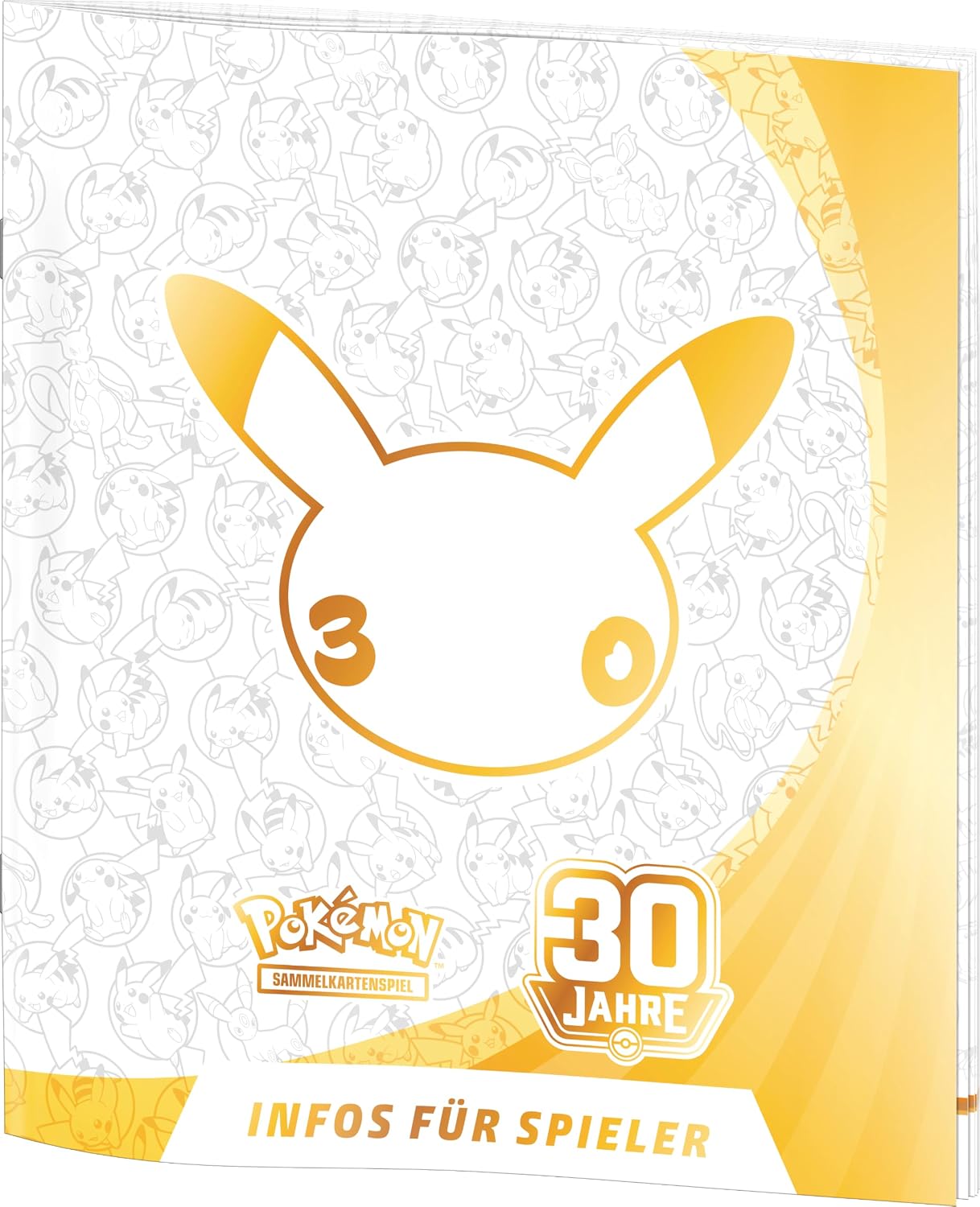 Rulebook – player's guide